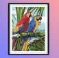 Preview: Diamond Painting Aras Papageigen
